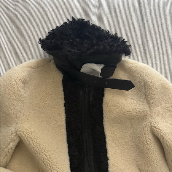 Zara Cream Teddy Jacket with Black Collar - Picture 4 of 8